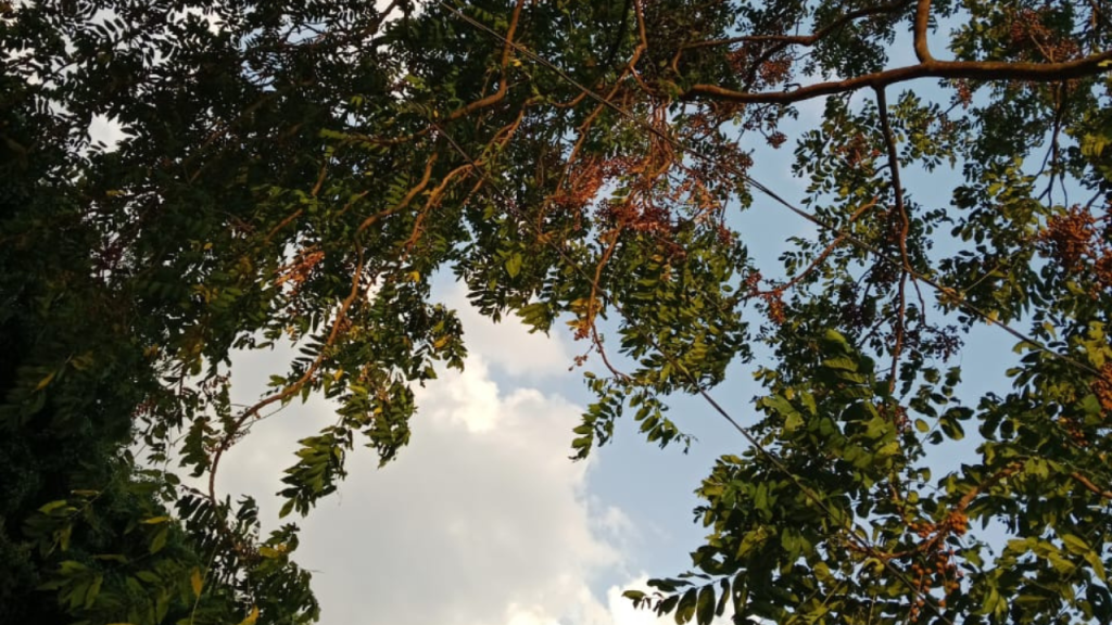 Pengalaman Pribadi Ayu Rizqiyah - matahari tetap terbit, meski hati belum siap